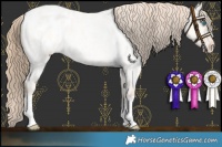 Horse Color:Perlino Roan Dun Blanket 