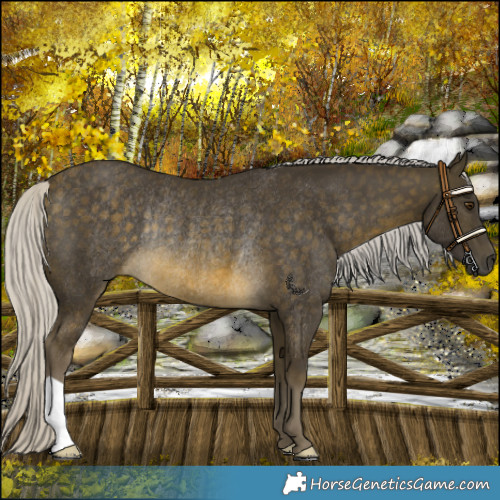 Horse Color:Silver Buckskin Mushroom Rabicano 