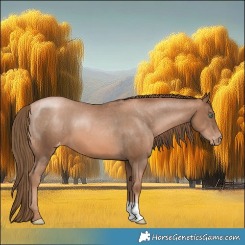 Horse Color:Liver Chestnut Pearl Varnish 