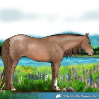Horse Color:Brown Pearl 