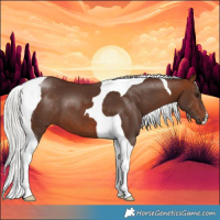 Horse Color:Silver Bay Tobiano 