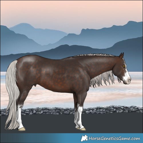 Horse Color:Silver Brown