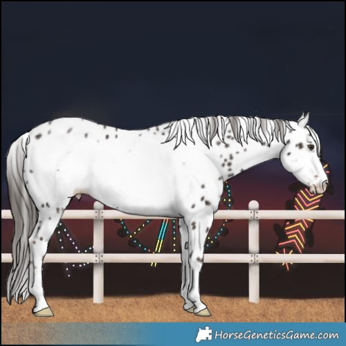 Horse Color:Liver Chestnut Frame Leopard