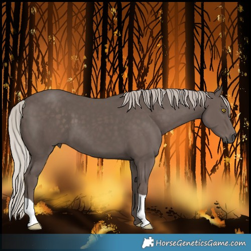 Horse Color:Silver Black 