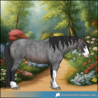 Horse Color:Bay Roan Sabino 