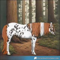 Horse Color:Liver Chestnut Tobiano Near Leopard