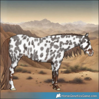 Horse Color:Liver Red Roan Leopard
