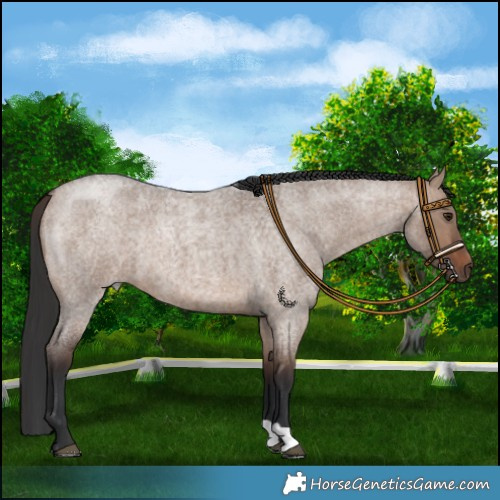 Horse Color:Brown Roan Dun 