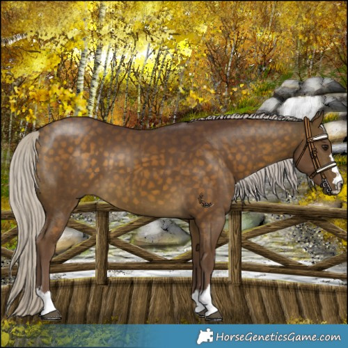 Horse Color:Chocolate Silver Buckskin 
