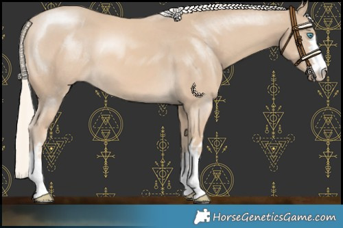 Horse Color:Cremello 