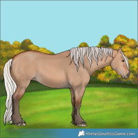 Horse Color:Silver Bay Dun 