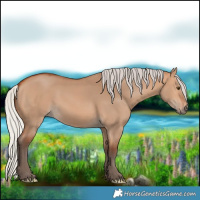 Horse Color:Silver Bay Dun