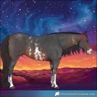 Horse Color:Brown Sabino 