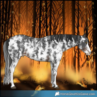 Horse Color:Liver Chestnut Sabino 