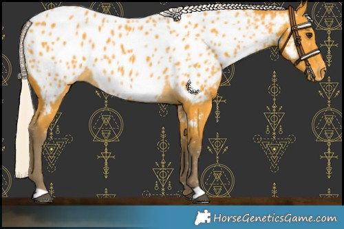 Horse Color:Silver Buckskin Near Leopard 