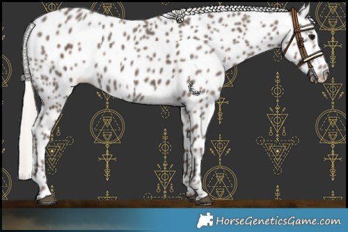 Horse Color:Silver Black Leopard 