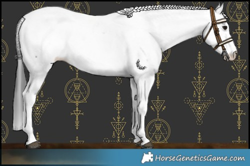 Horse Color:Black Fewspot 