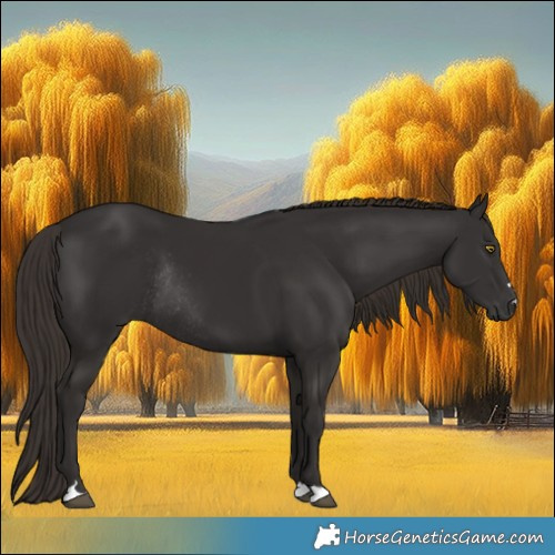 Horse Color:Liver Chestnut Rabicano 