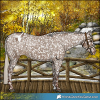 Horse Color:Liver Red Dun Blanket 