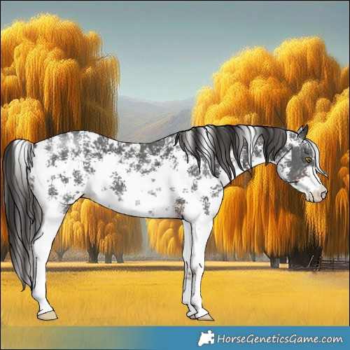 Horse Color:Liver Chestnut Sabino