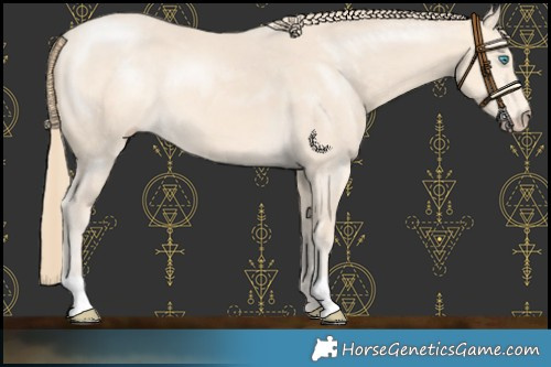Horse Color:Perlino 