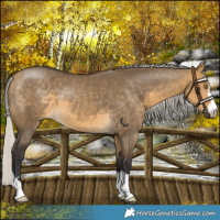 Horse Color:Silver Buckskin Dun
