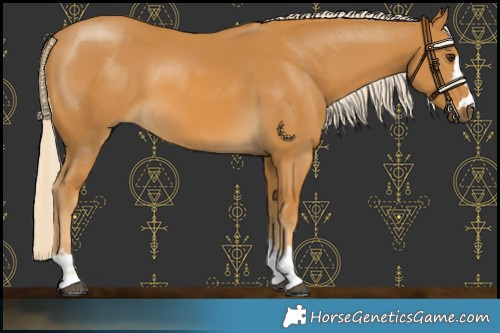 Horse Color:Palomino 