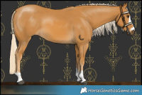 Horse Color:Palomino