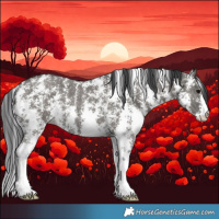 Horse Color:Grullo Sabino Rabicano 