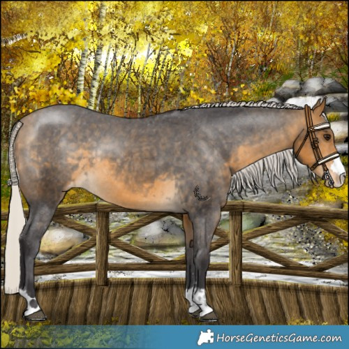 Horse Color:Silver Buckskin Varnish Rabicano 