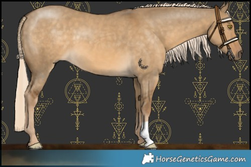Horse Color:Chocolate Palomino Dun 
