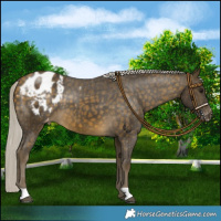 Horse Color:Silver Buckskin Varnish 