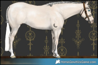 Horse Color:Silver Perlino Dun 