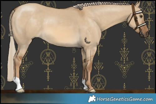 Horse Color:Chocolate Palomino Dun 