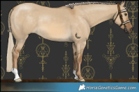 Horse Color:Chocolate Palomino Dun 
