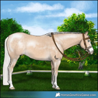 Horse Color:Silver Perlino 