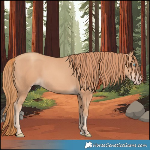 Horse Color:Gold Champagne 