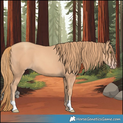 Horse Color:Gold Champagne