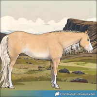 Horse Color:Gold Cream Champagne