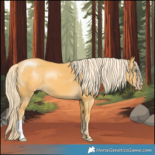 Horse Color:Gold Cream Champagne