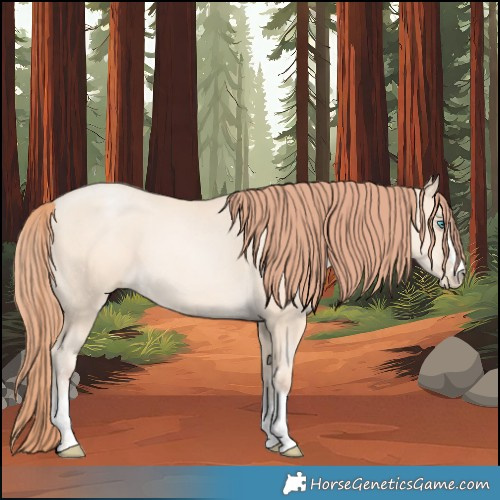 Horse Color:Classic Cream Champagne Pearl