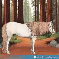 Horse Color:Classic Cream Champagne Pearl 