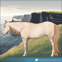 Horse Color:Amber Champagne Pearl 