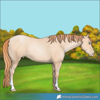 Horse Color:Amber Champagne Pearl 