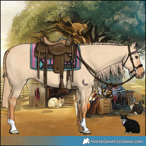 Horse Color:Red Dun 