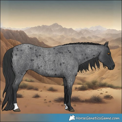 Horse Color:Blue Roan