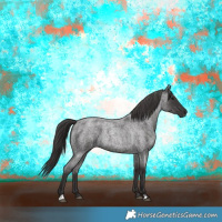 Horse Color:Smoky Blue Roan 