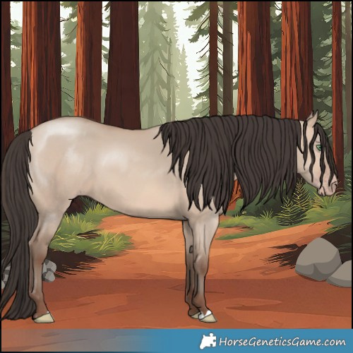 Horse Color:Amber Champagne Dun 
