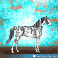 Horse Color:Black Sabino Splash 