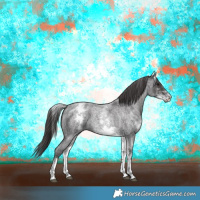 Horse Color:White Spotted Smoky Blue Roan